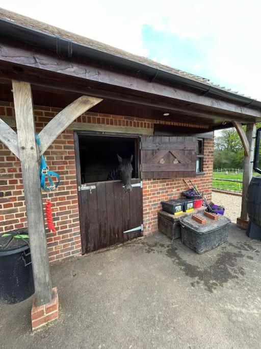The Stable, Grove End Farm Apartment Petworth Luaran gambar