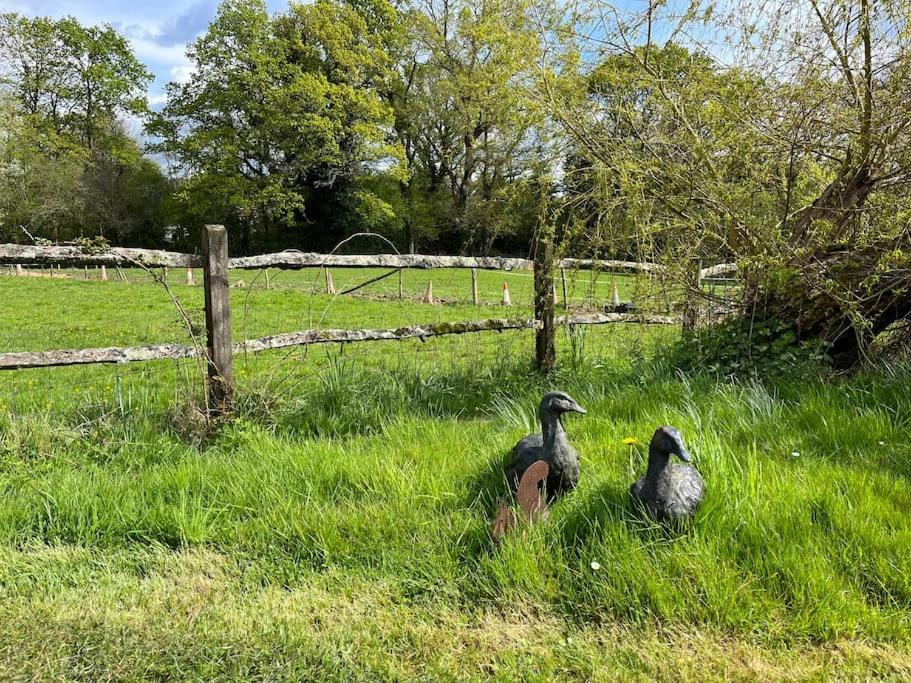 The Stable, Grove End Farm Apartment Petworth Luaran gambar